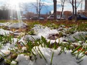 Фото @yoshkas-cat