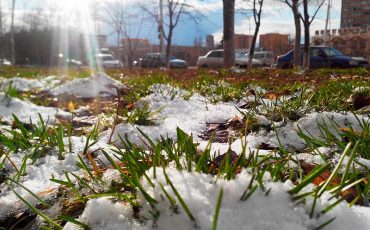 Фото @yoshkas-cat