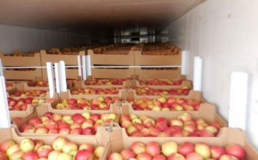 Снимок носит иллюстративный характер / Фото: Управление Россельхознадзора по Тверской и Псковской областям