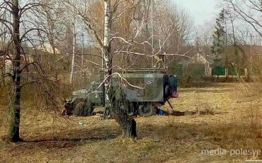 Фото использовано в качестве иллюстрации