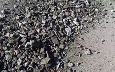 Скриншот из видео