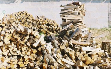 Фото из архива МП