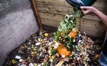 Фото с сайта imorganic.ru