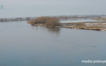 Фото из архива Медиа-Полесья Фото из архива Медиа-Полесья