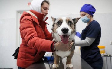 Фото: © Гавриил Григоров/ТАСС