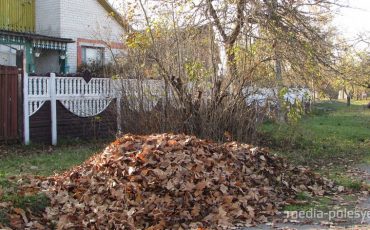 Фото иллюстрационное из архива МП