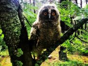 Фото со страницы Пограничной службы Беларуси в Instagram