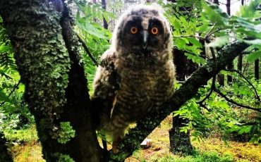 Фото со страницы Пограничной службы Беларуси в Instagram