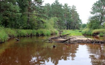 Фото из архива МП