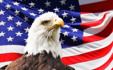 Иллюстрация pixabay.com