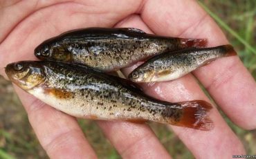 Снимок носит иллюстративный характер / Фото: bagor.net