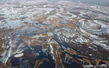 Фото Романа Нефидовича