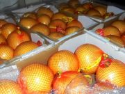 Фото: Россельхознадзор