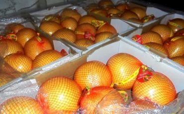 Фото: Россельхознадзор