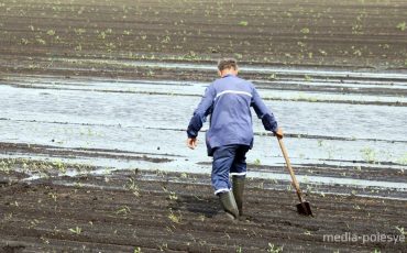 Фото иллюстрационное из архива МП