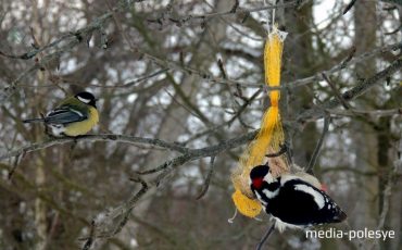 Фото из архива МП