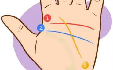 Иллюстрация: syl.ru