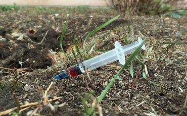 Фото иллюстрационное, obs.in.ua