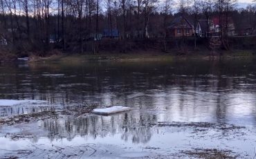 Фото: pasienis.lt