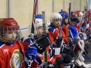 Снимок носит иллюстративный характер / Фото из архива Медиа-Полесья