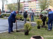 Снимок носит иллюстративный характер / Фото из архива Медиа-Полесья