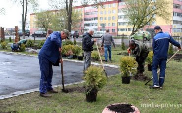 Снимок носит иллюстративный характер / Фото из архива Медиа-Полесья