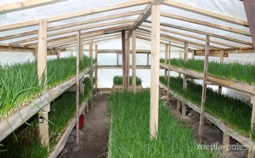 Снимок носит иллюстративный характер / Фото из архива Медиа-Полесья