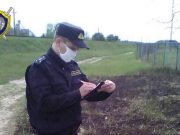 Фото использовано в качестве иллюстрации