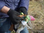 Фото использовано в качестве иллюстрации, из архива МП