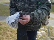 Фото использовано в качестве иллюстрации, из архива МП