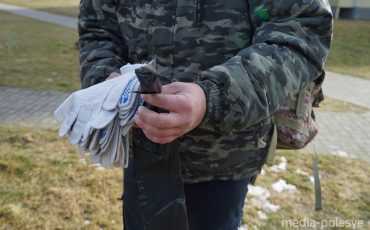 Фото использовано в качестве иллюстрации, из архива МП