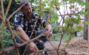 Снимок носит иллюстративный характер / Фото из архива Медиа-Полесья