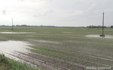 Фото использовано в качестве иллюстрации из архива МП