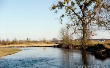 Фото из архива МП