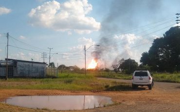 Фото: twitter.com/AlAlchan7