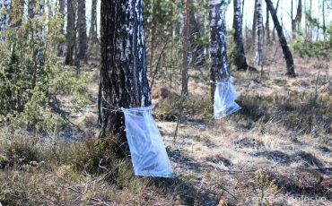 Фото иллюстрационное, из архива МП