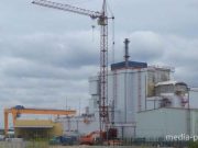 Фото из архива МП