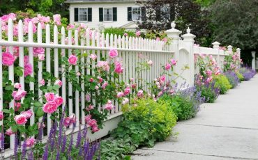 Фото: Getty Images/iStockphoto