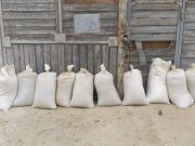 Фото используется в качестве иллюстрации