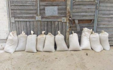 Фото используется в качестве иллюстрации