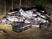 Фото: pasienis.lt