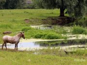 Фото используется в качестве иллюстрации