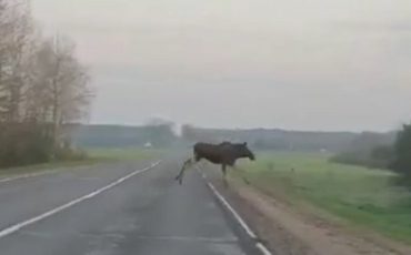 Скриншот видео