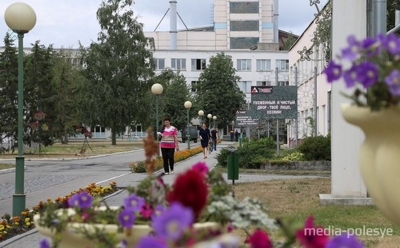 Фото используется в качестве иллюстрации