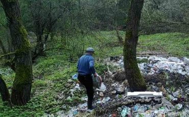 Фото предоставлено Пинским лесхозом