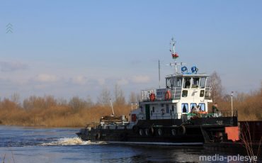 Фото иллюстрационное