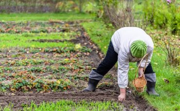 Фото иллюстрационное, postila.ru