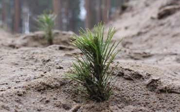 Фото Пинского погранотряда