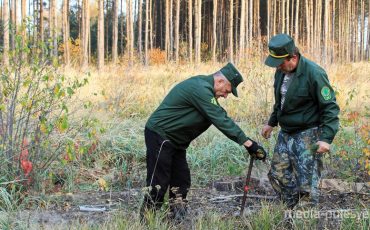 Фото использовано в качестве иллюстрации / из архива МП