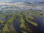 Скриншот видео